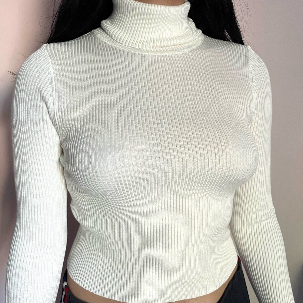 Long Sleeve Fitted Turtle Neck || Ambiance Apparel